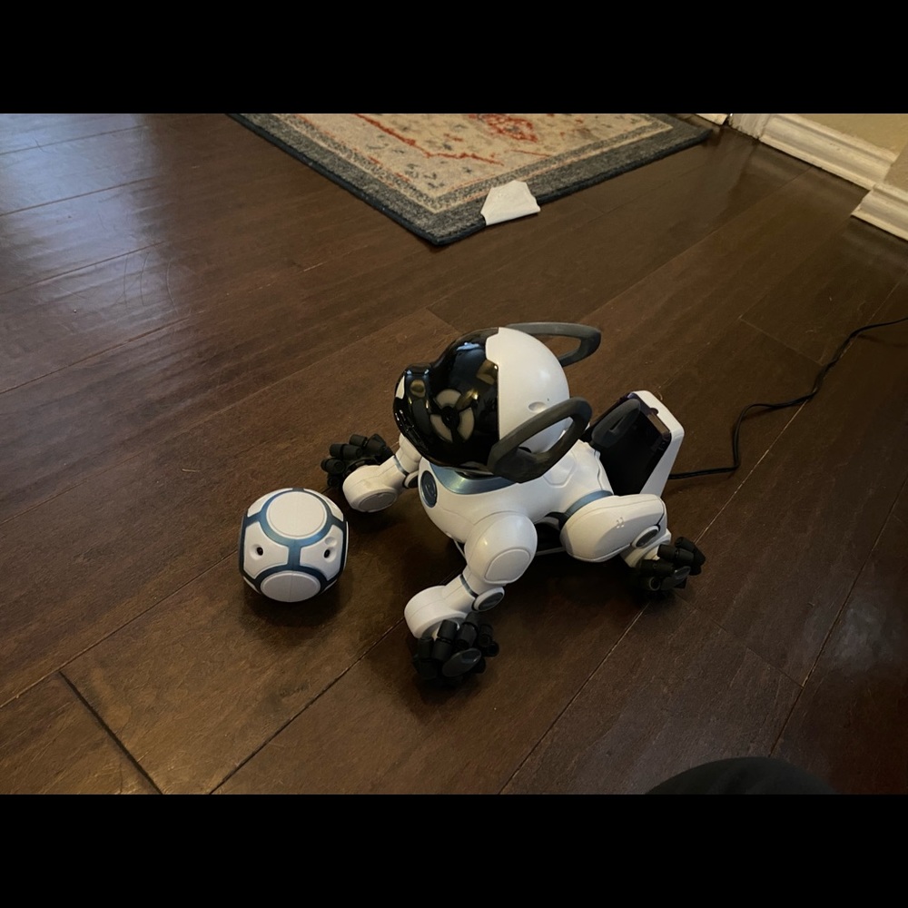 Chip robotic dog